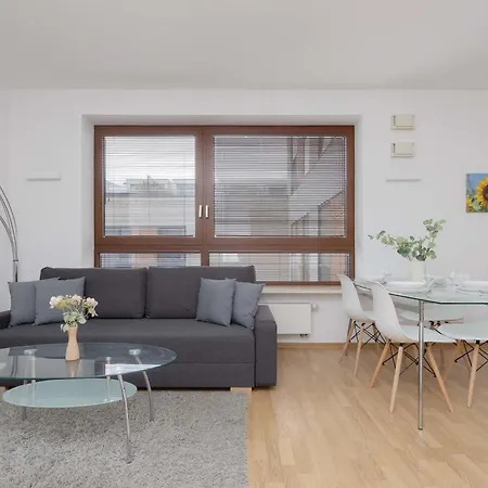 Spacious And Bright With Parking In The Center By Renters *